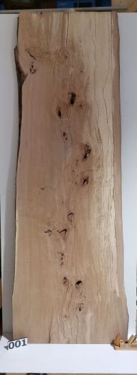 Tischplatte Buche vollmassiv - Unterseite